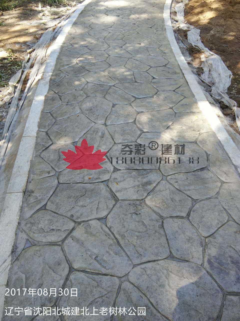 沈陽(yáng)北城建北上老樹(shù)林公園壓