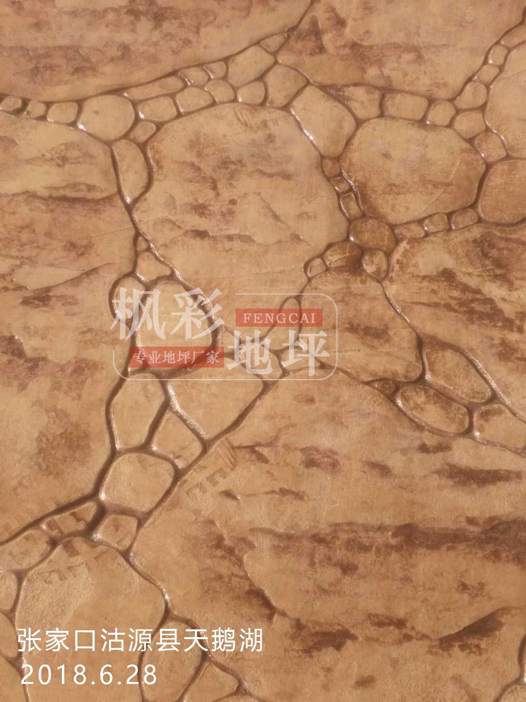 張家口沽源縣天鵝湖